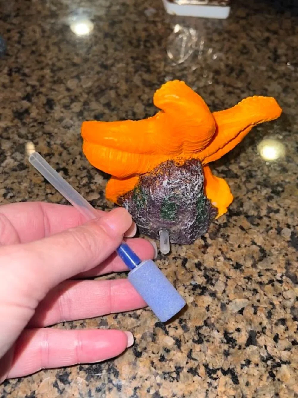 Orange starfish bubbler also known as hydroponics decoration